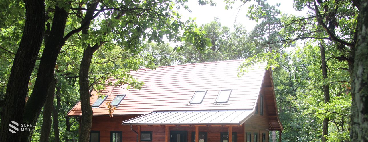 Kiállítás a kilátónál