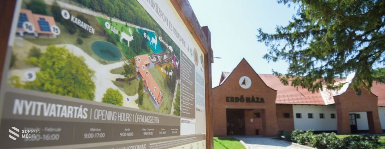 Családi nap az Erdő Házában