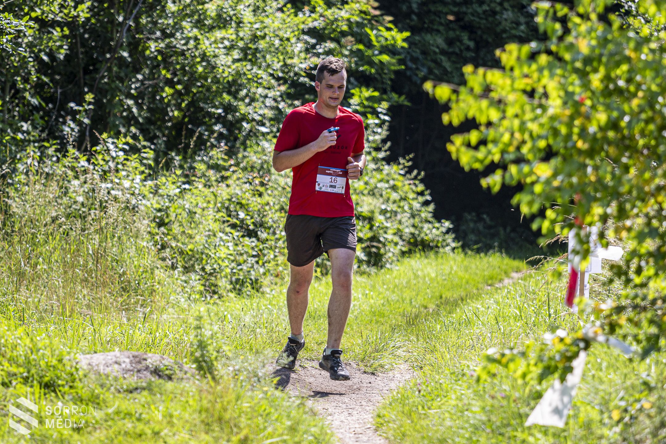 Tömegeket vonzott a 7. Sopron Trail
