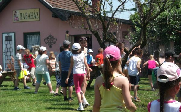 Napközis Tábor 2013