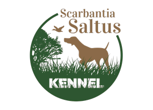 Scarbantia Saltus – ahol a vizslák útja a weboldalon is követhető esettanulmány