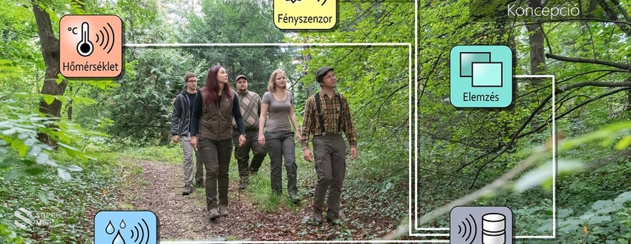 Okos lehetőségek az erdőkben is