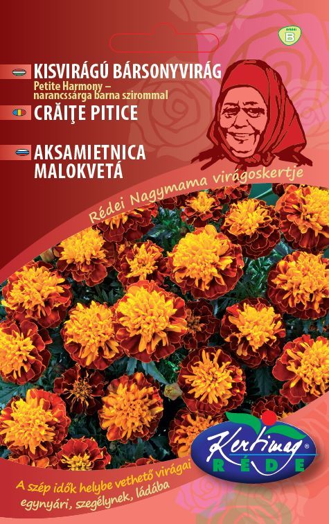 NM. Bársonyvirág Petit Harmony -narancs/barna 2 g termék képe