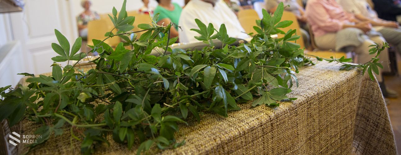 Egészséges, emberibb környezetért, a Virágos Sopronért