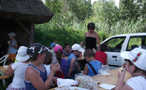 Napközis Tábor 2013