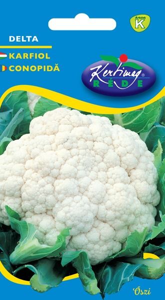 Karfiol Delta (őszi) 1 g termék képe