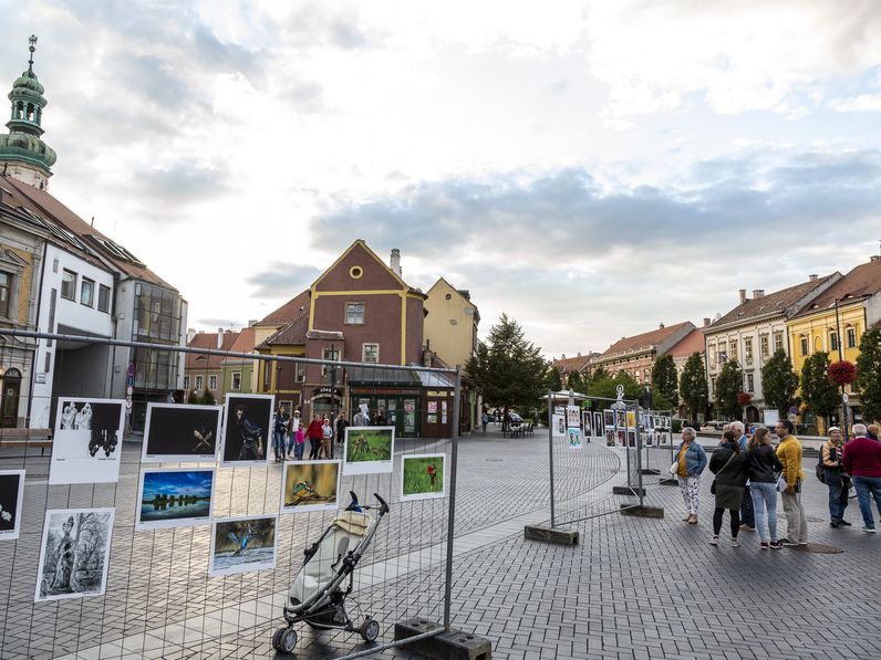 Szabadtéri fotókiállítás a Várkerületen