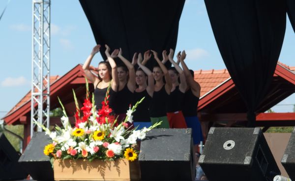 25. Falunap 2014. augusztus 9.