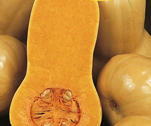 Sütőtök Orange 25 g