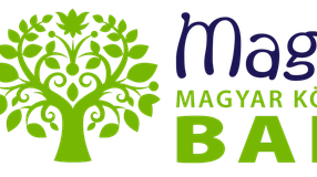 Átvette a Sopron Bank fiókjait a MagNet