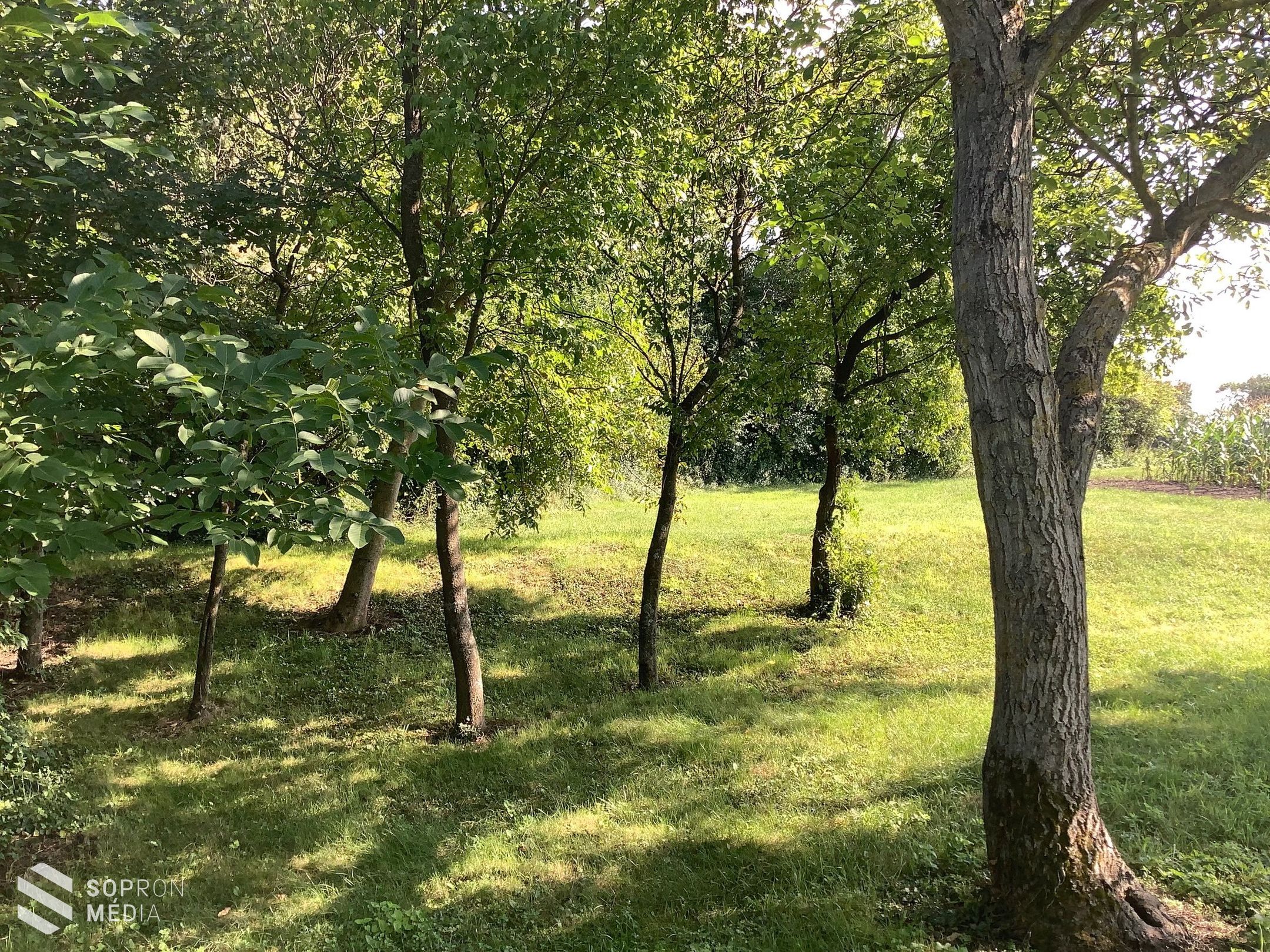 Elhagyatott Sopron környéki települést fedeztek fel