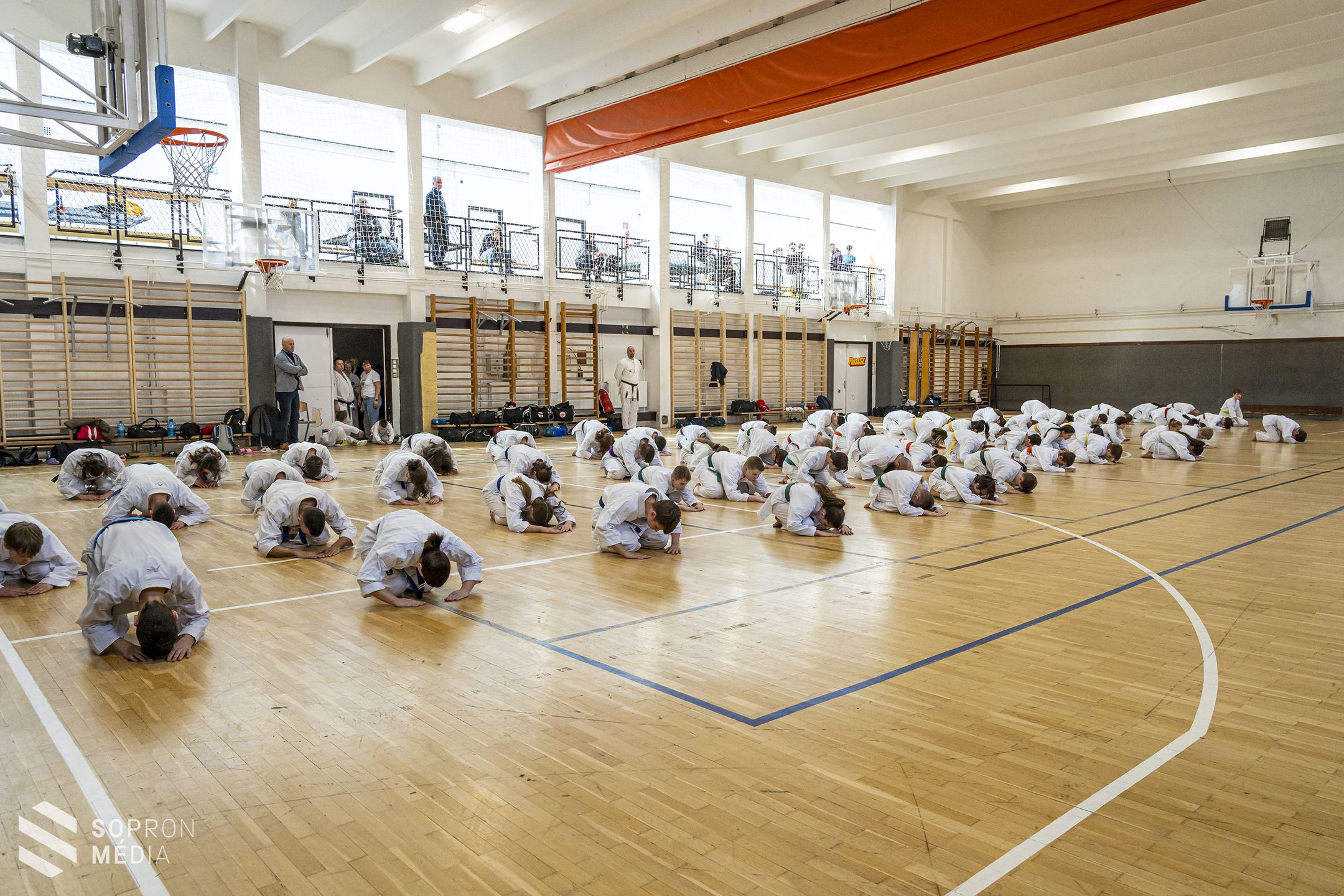 Nemzetközi edzőtábornak ad otthont a Shotokan Tigrisek SE