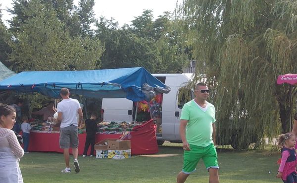 24. Falunap 2013. augusztus 10.