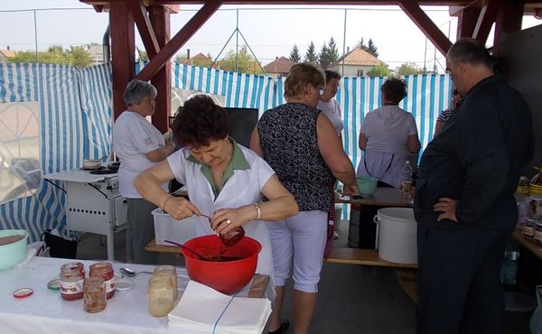 Bikafesztivál és Majális 2013.