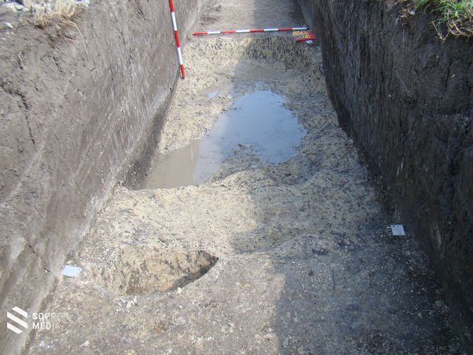 A munkálatok legközelebbi fejleményekig a nyár közepéig kell várni, a munkálatok akkor folytatódnak majd, a Soproni Múzeum felügyeletében