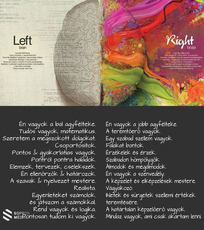 A jobb és bal agyfélteke közötti különbség