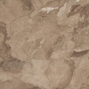 FAP Sheer Camou Beige