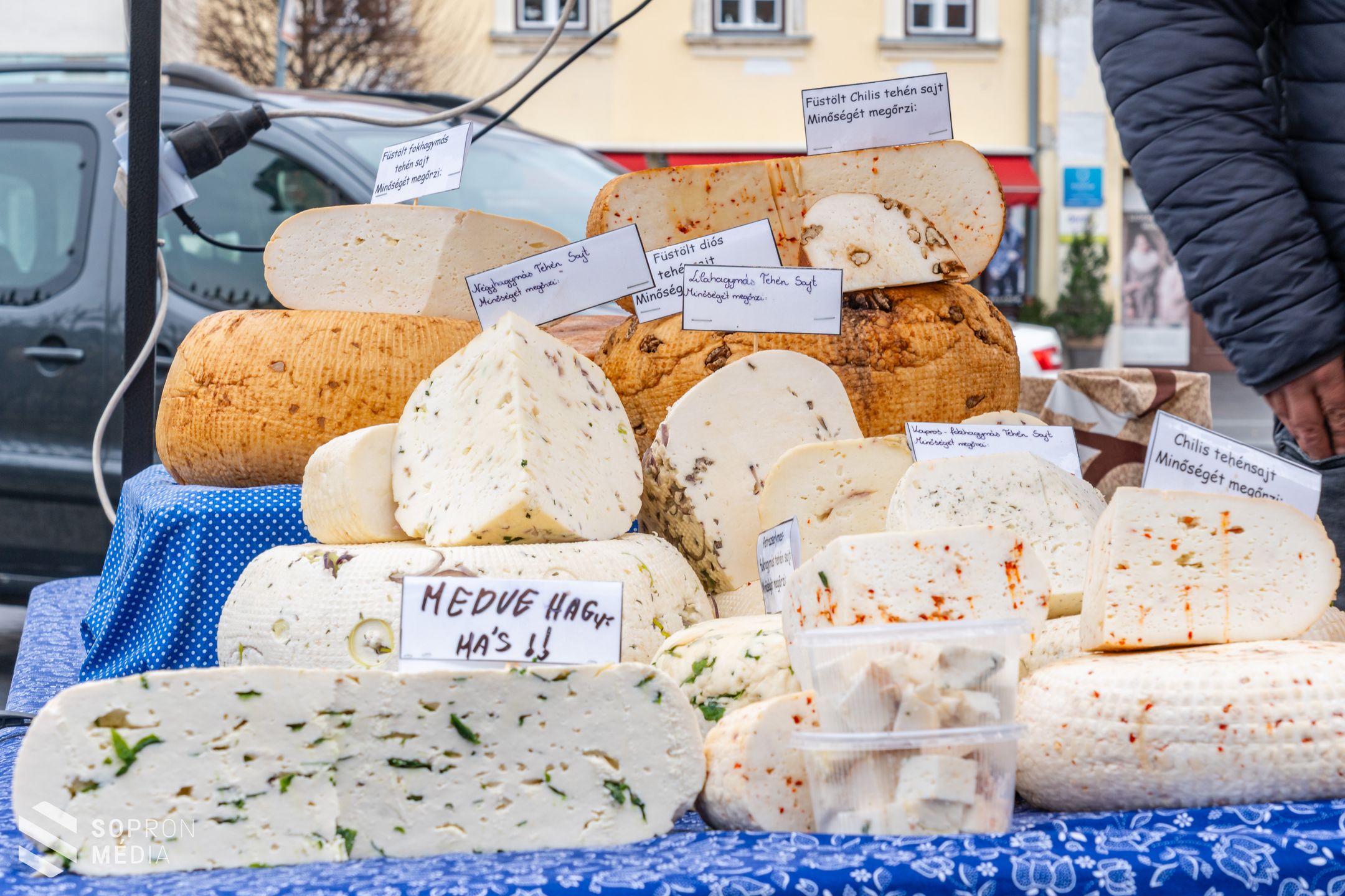 Mangalica és Szürkemarha Gasztrofeszt Sopronban