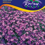 Pázsitviola 0,25 g termék képe