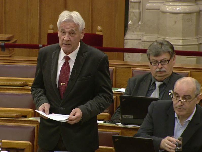 Két fontos, a honvédelmet, a biztonságunkat érintő törvény vitájában is vezérszónoki felszólalást mondott Firtl Mátyás, a Honvédelmi és rendészeti bizottság alelnöke ma a Parlamentben.