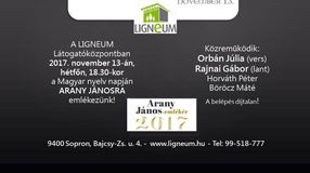 A MAGYAR NYELV NAPJA a Ligneumban