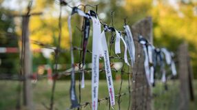 Ünnepi megemlékezés a Páneurópai Piknik és határáttörés 36. évfordulója alkalmából