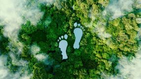 Hogyan csökkentsük az ökológiai lábnyomunkat?