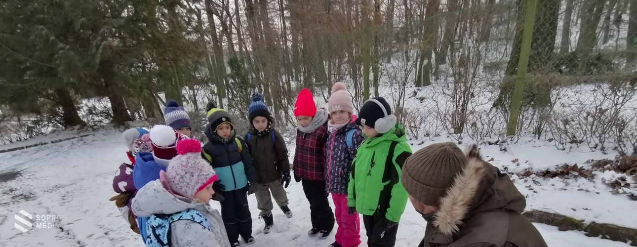 Télen is kaland az erdei tanóra