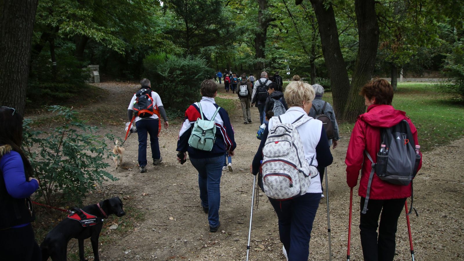 Útjára indult a 100 év 100 km programsorozat