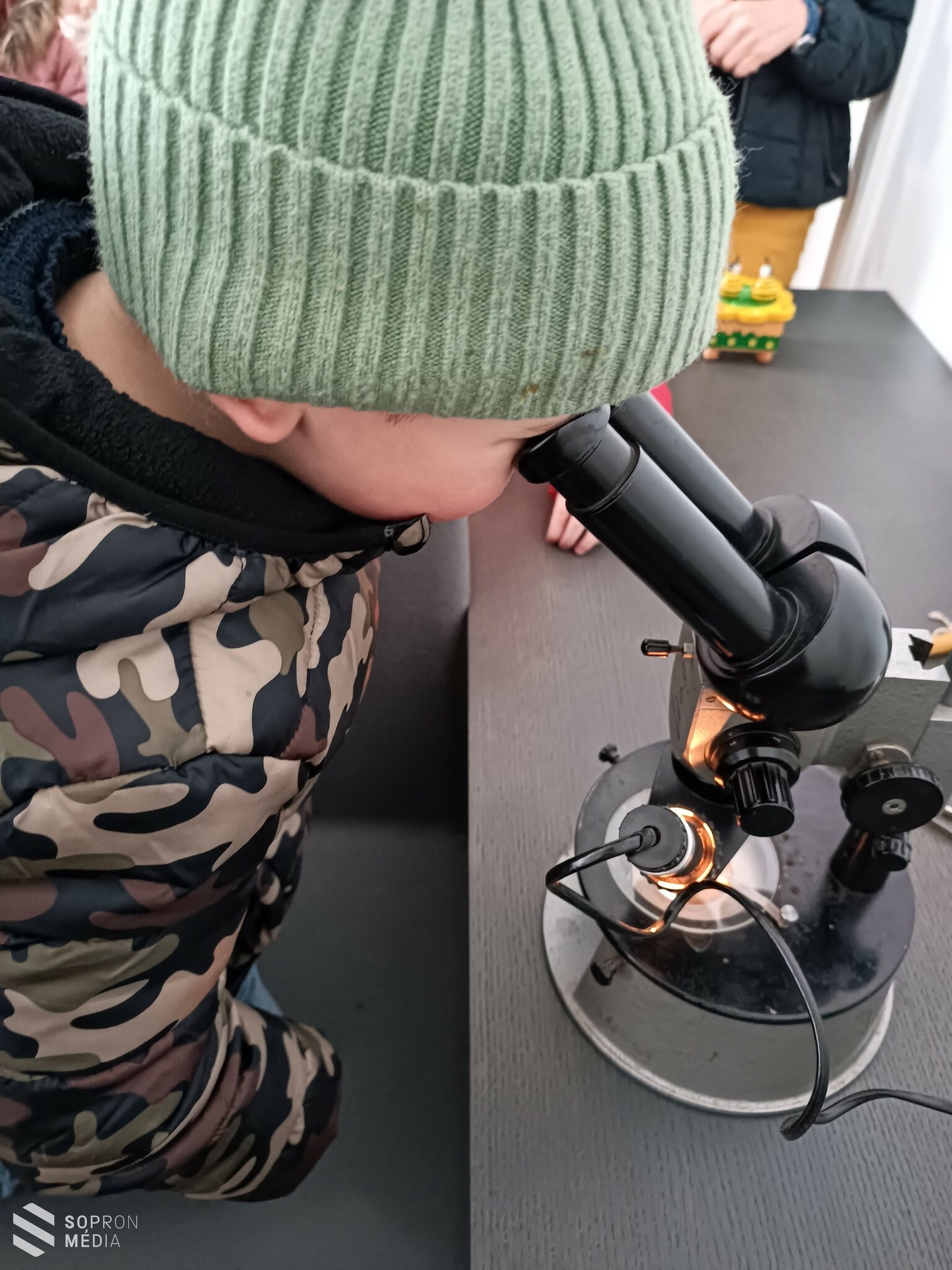 Beporzók napja a Lenck-villa kertjében