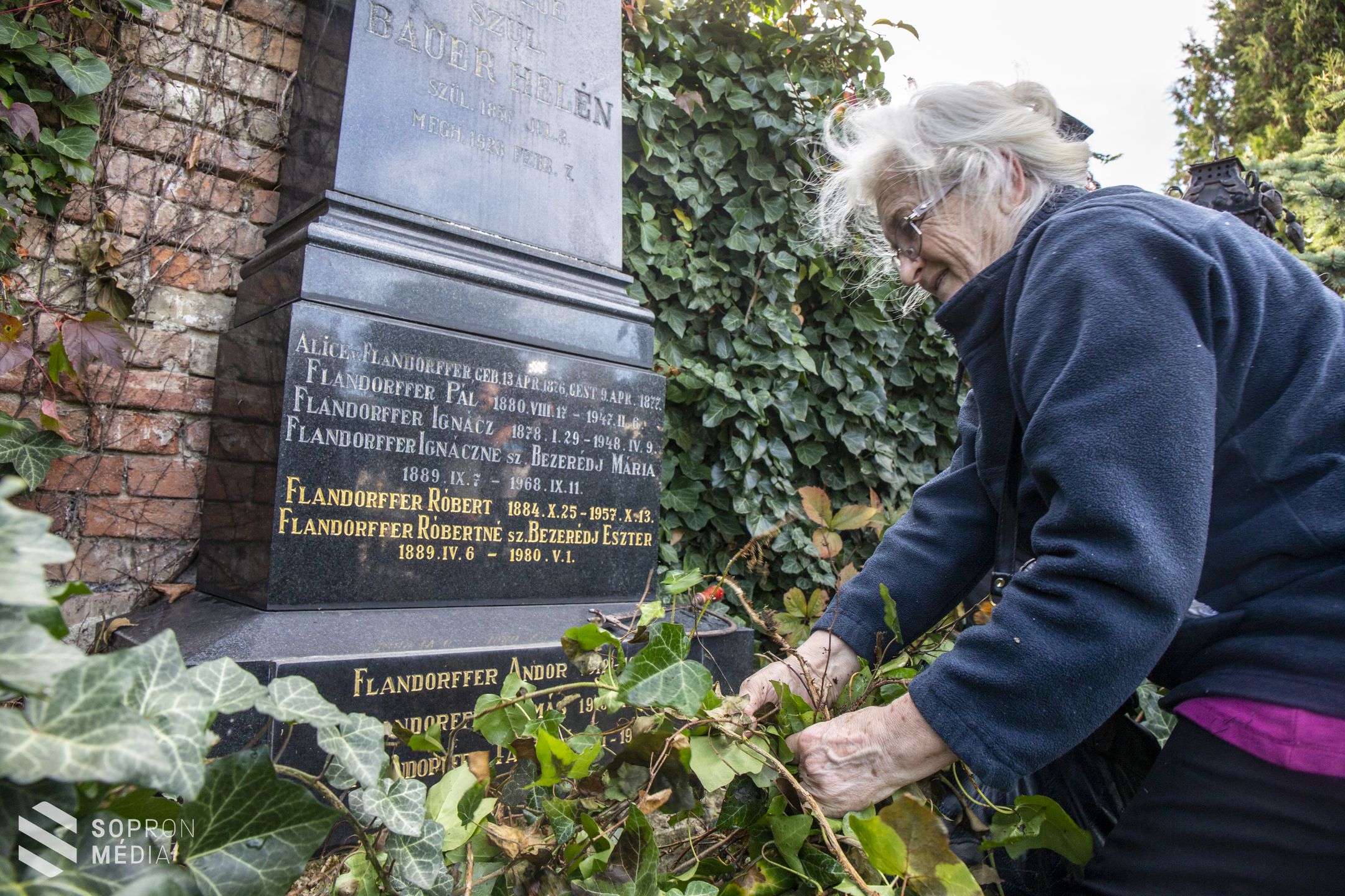 Önkéntesek gondoztak elhagyatott sírokat Sopronban 