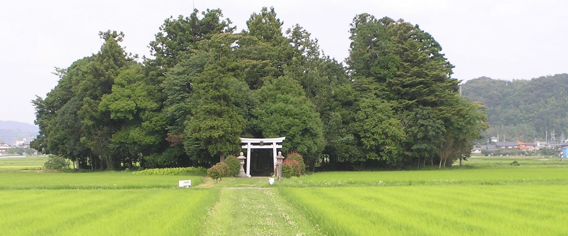 Agrofil-SZMI Kft.