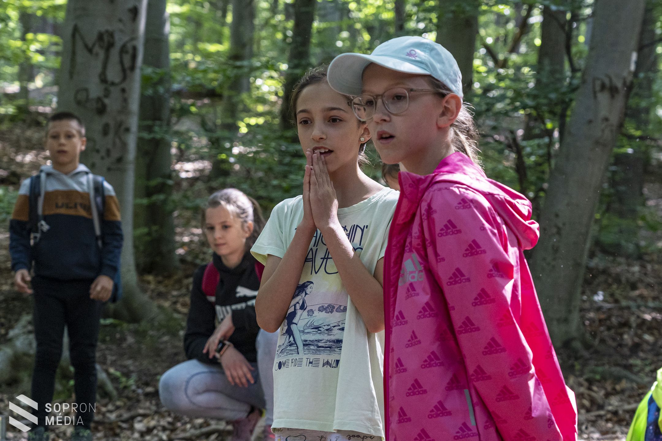 Népszerű az erdei iskola természetjáró tábora