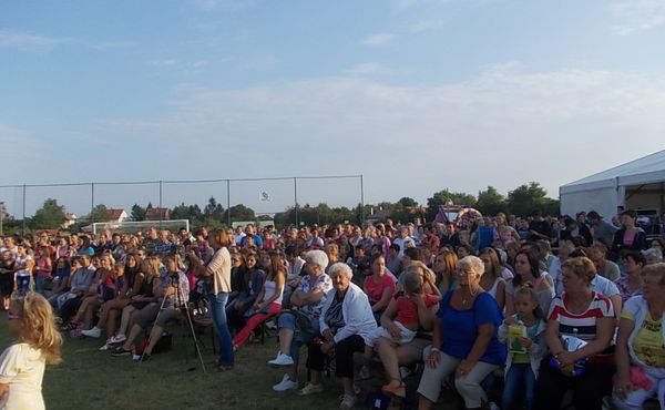 24. Falunap 2013. augusztus 10.