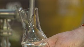 Kevés lesz a sárgabarack pálinka, de a minőségére nem lehet panasz