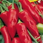 Fűszerpaprika Kalorez 25 g termék képe