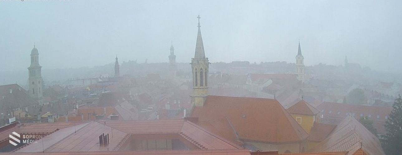 Fákat döntött a hirtelen jött vihar