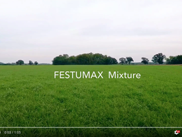 Festumax 2020 őszi vetés