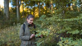 Az erdei életközösségre hívja fel a figyelmet a Soproni Egyetem