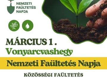 Közösségi faültetés