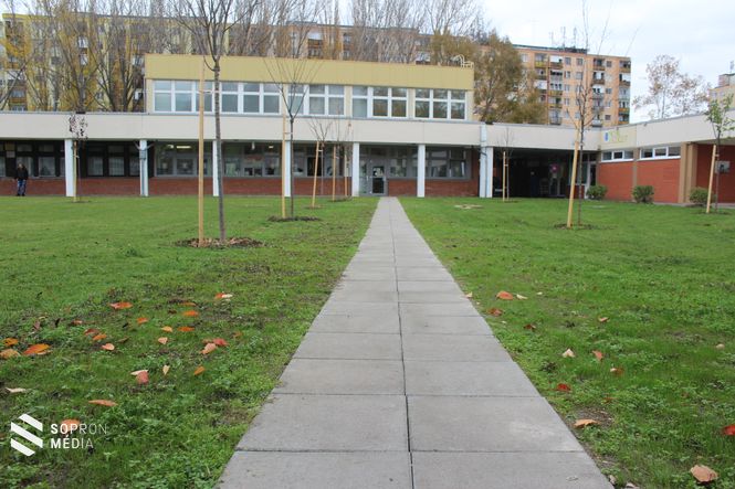 Ezüst Kehely Gyógyszertár / illusztráció