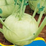 Karalábé Gigant  50 g termék képe