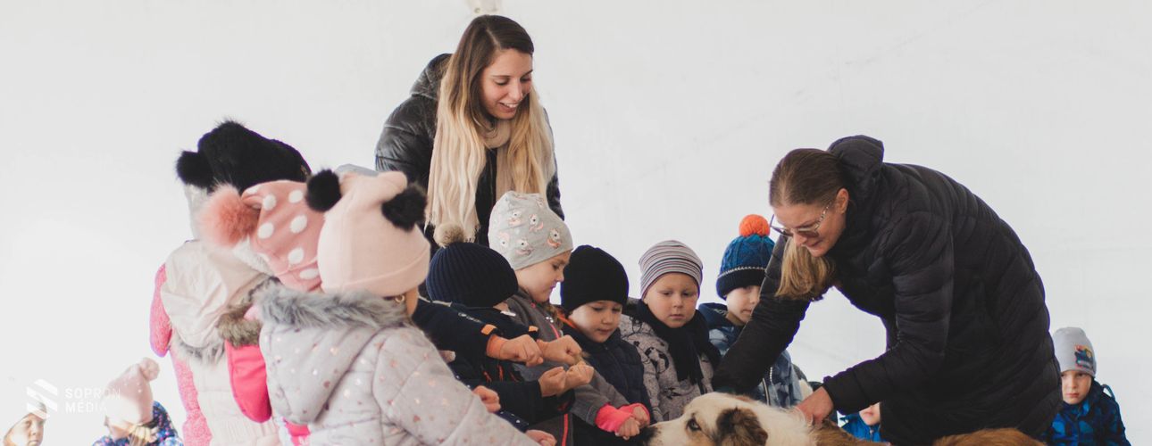 Kiskutyák napja a Soproni Egyetem hallgatóinak szervezésében