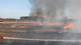 Szabadtéri tüzek - Sopronba és Fertődre is riasztották a tűzoltókat