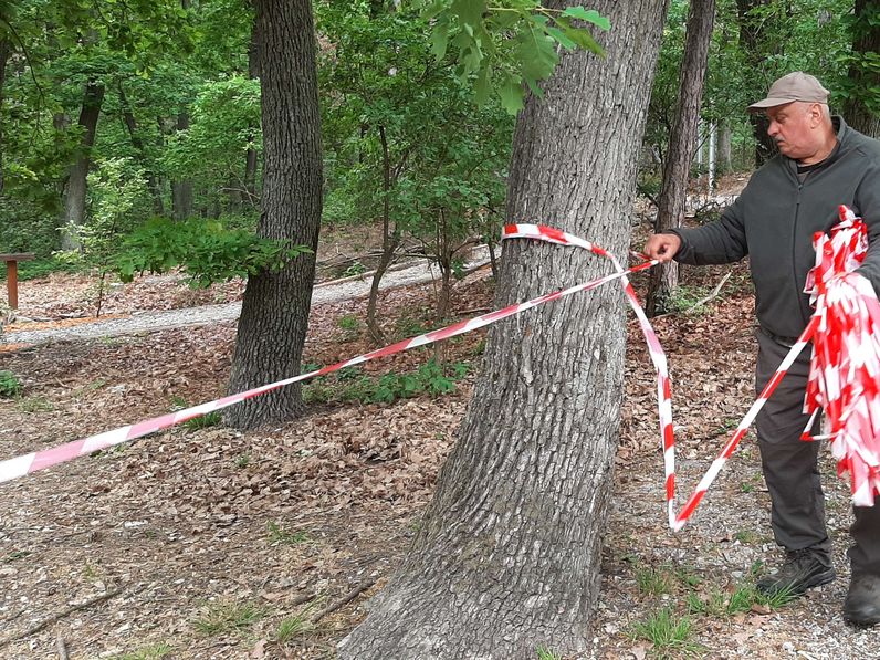 Részleges újranyitás a Soproni Parkerdő népszerű létesítményeinél