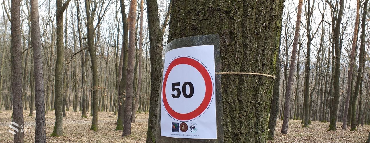 Tavaszi fészkelődési túra