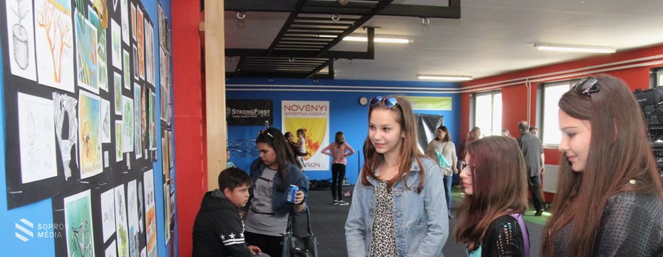 Tehetség, inspiráció és kreativitás: fertőrákosi tanulók évzáró művészeti kiállítása