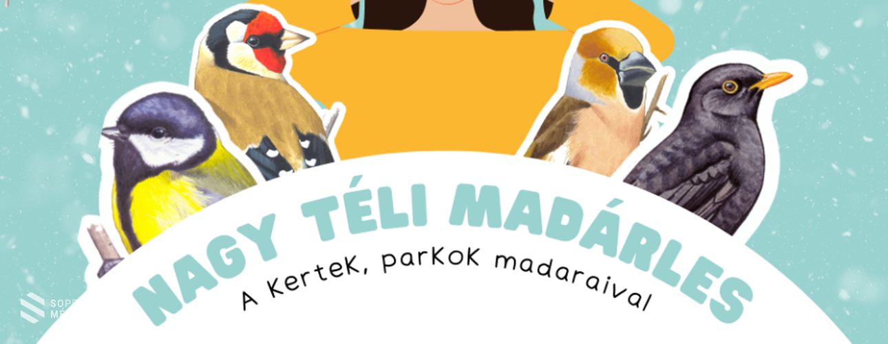 Újra itt a várva várt Nagy Téli Madárles!