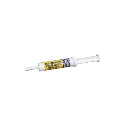 EQUIMINS ELECTROLYTE PASTE-Elektrolit paszta 30 ml