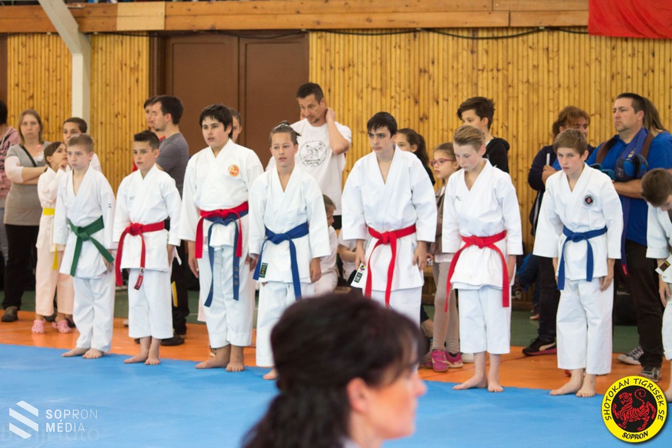 Shotokan Tigrisek SE.: Éremeső Zalaegerszegen